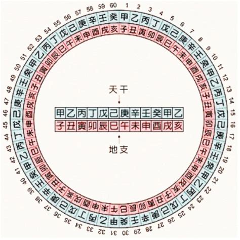 生肖 天干|天干地支五行对照表